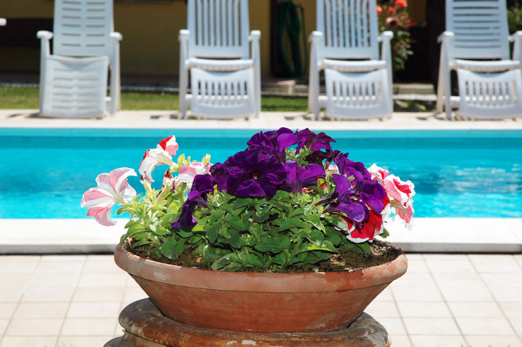 Casale Il Colle Deruta Villa Ngoại thất bức ảnh